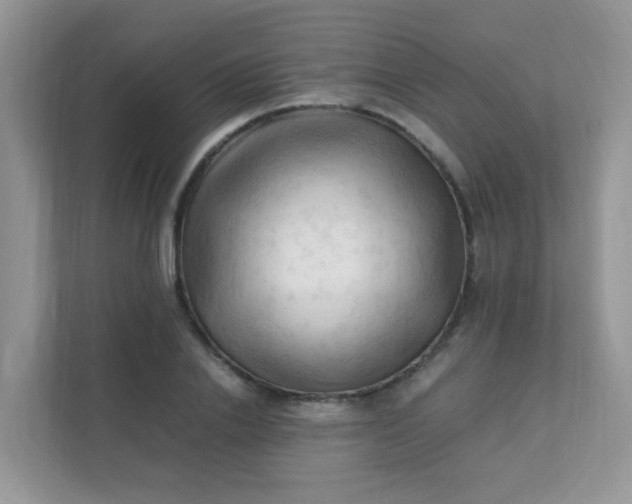 X0000111600838200907301445
