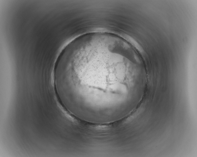 X0000111600839200907301445