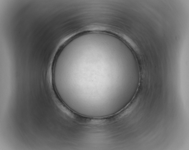 X0000111600840200907301445