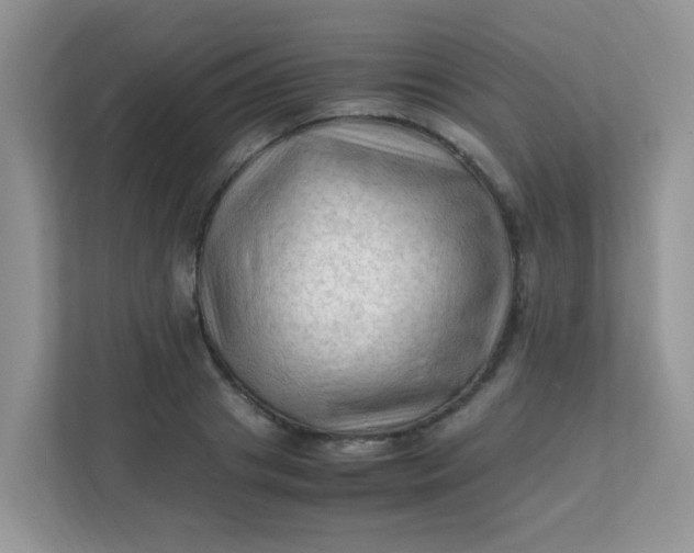 X0000111600841200907301445