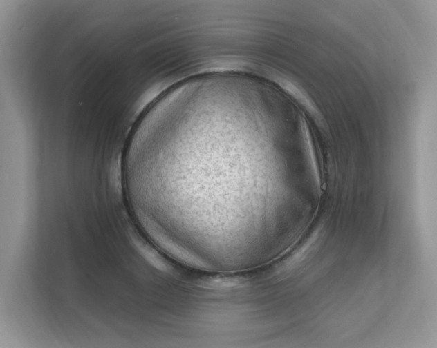 X0000111600842200907301445