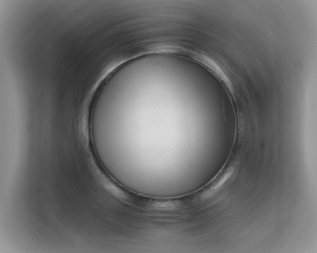 X0000111600843200907301445