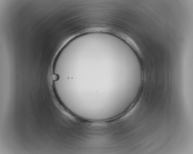 X0000111600844200907301445