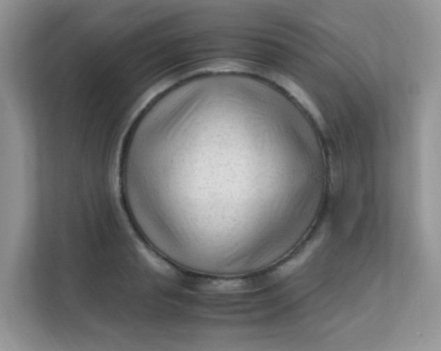 X0000111600845200907301445