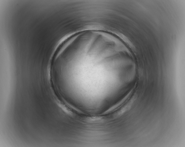 X0000111600846200907301445
