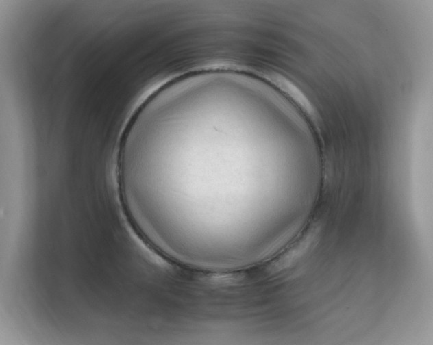 X0000111600847200907301445