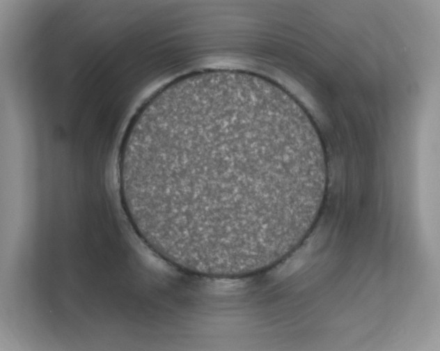 X0000111600848200907301445