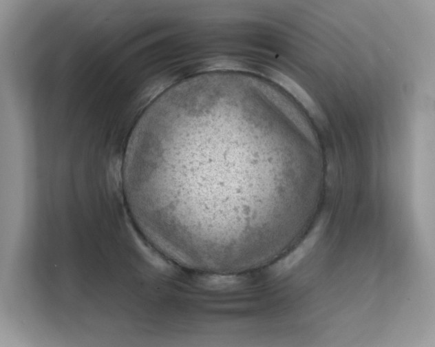 X0000111600849200907301445