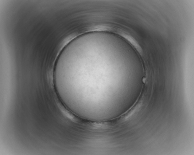 X0000111600850200907301445