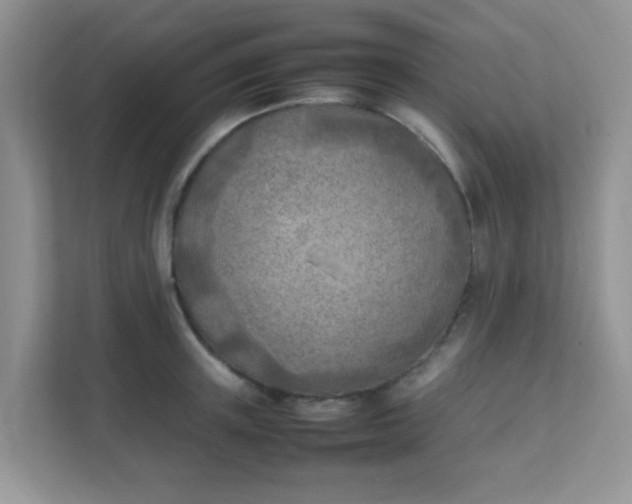 X0000111600851200907301445