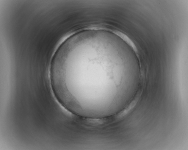 X0000111600855200907301445