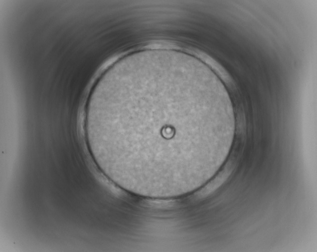X0000111600856200907301445