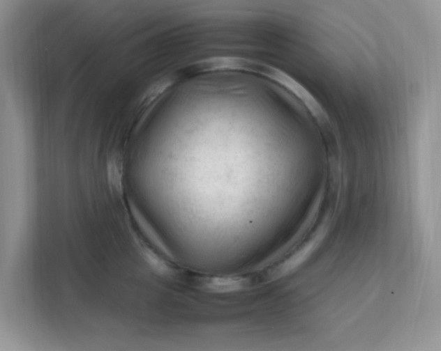 X0000111600857200907301445