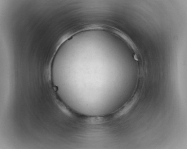 X0000111600858200907301445