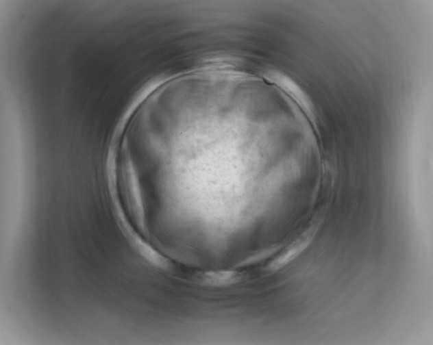 X0000111600859200907301445