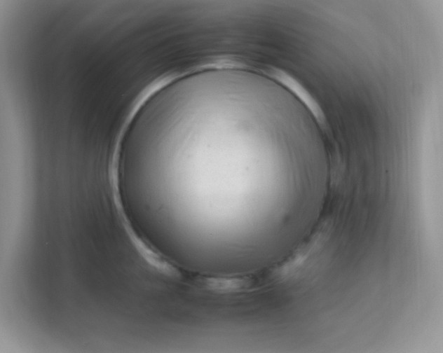 X0000111600861200907301445