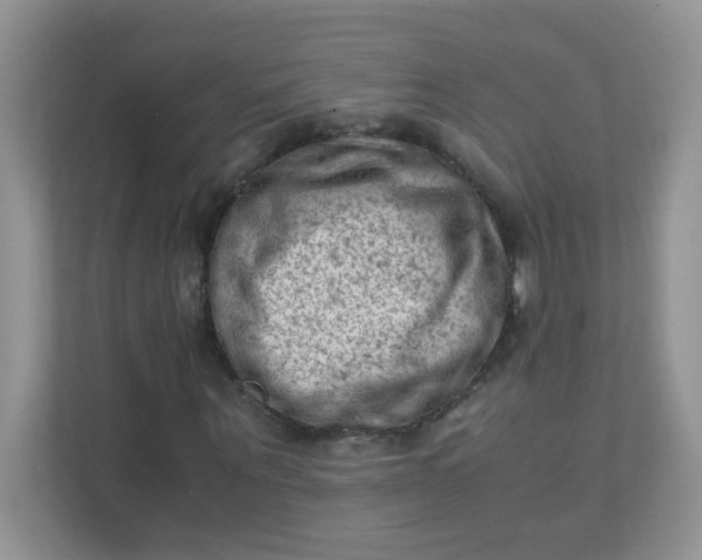 X0000111600867200907301445
