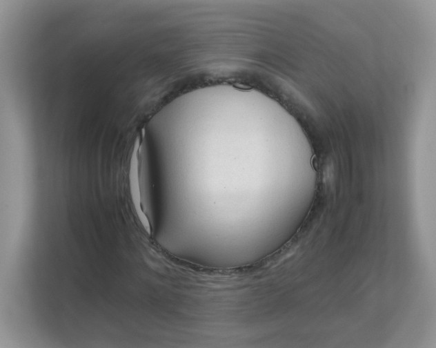 X0000111600868200907301445