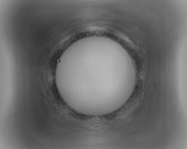 X0000111600869200907301445