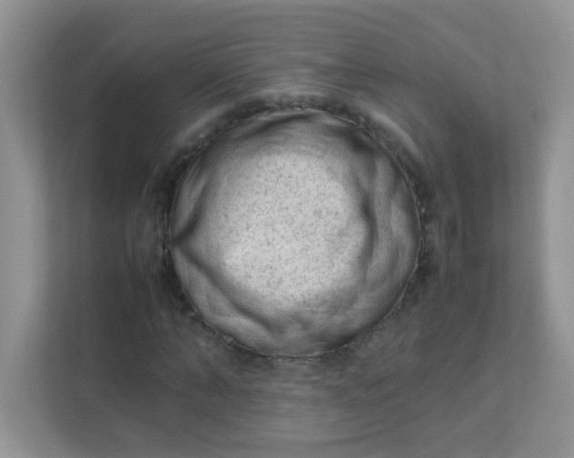 X0000111600870200907301445