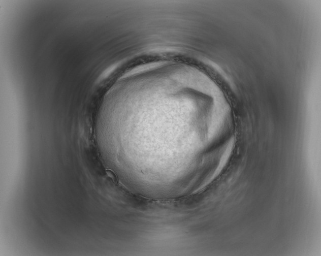 X0000111600871200907301445