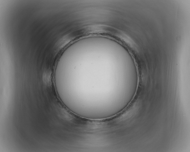 X0000111600873200907301444