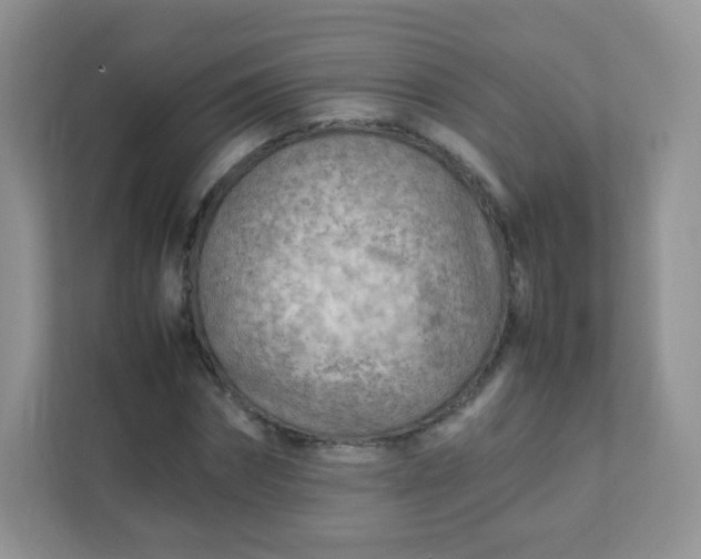 X0000111600874200907301444