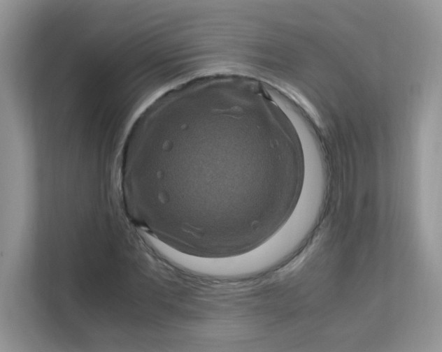 X0000111600877200907301444