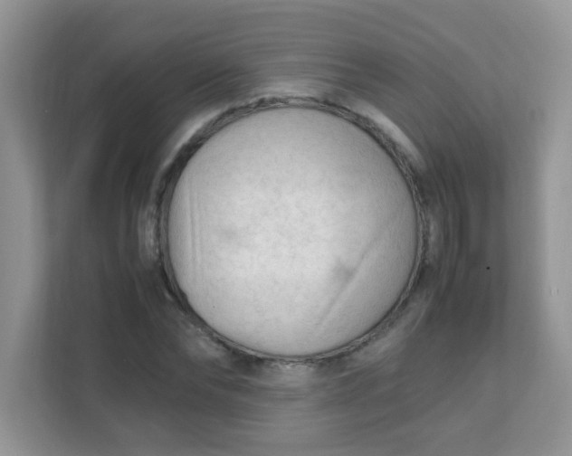 X0000111600878200907301444