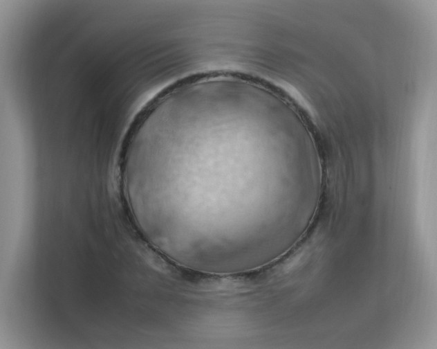 X0000111600879200907301444