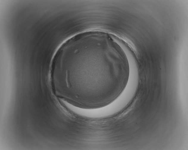 X0000111600880200907301444