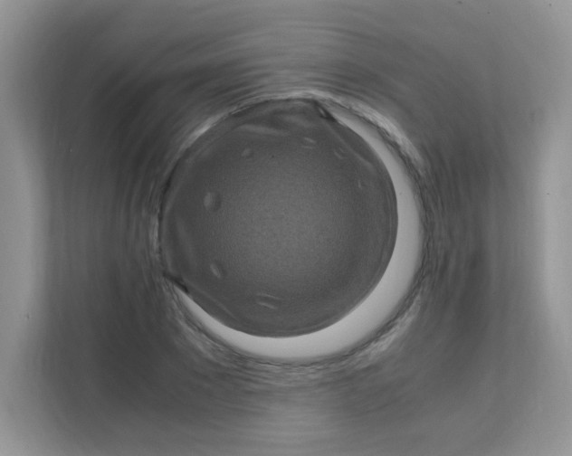 X0000111600881200907301444