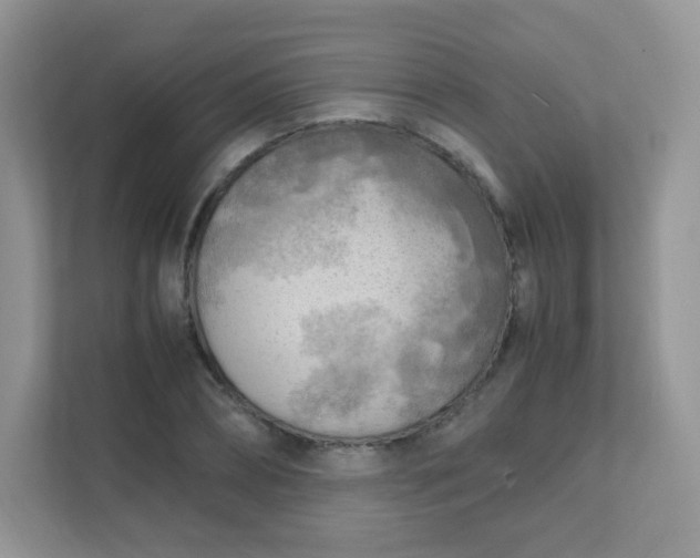 X0000111600882200907301444