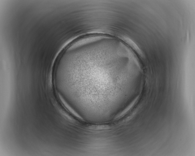 X0000111600884200907301444