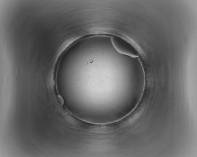 X0000111600885200907301444