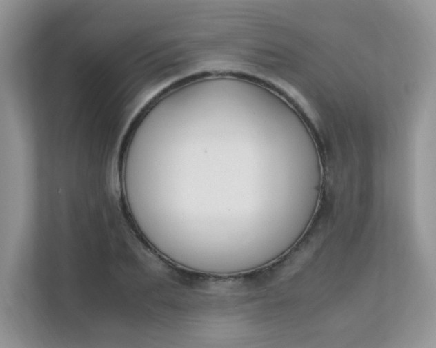 X0000111600887200907301444