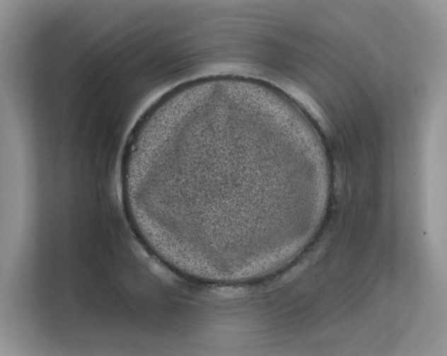 X0000111600888200907301444