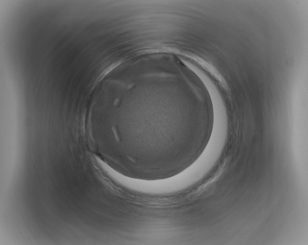 X0000111600889200907301444