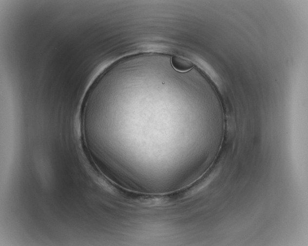 X0000111600891200907301444