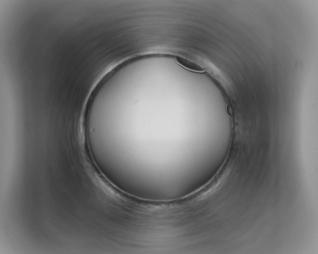X0000111600892200907301444