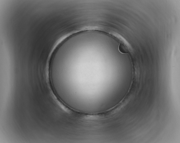 X0000111600894200907301444