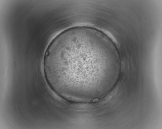 X0000111600895200907301444