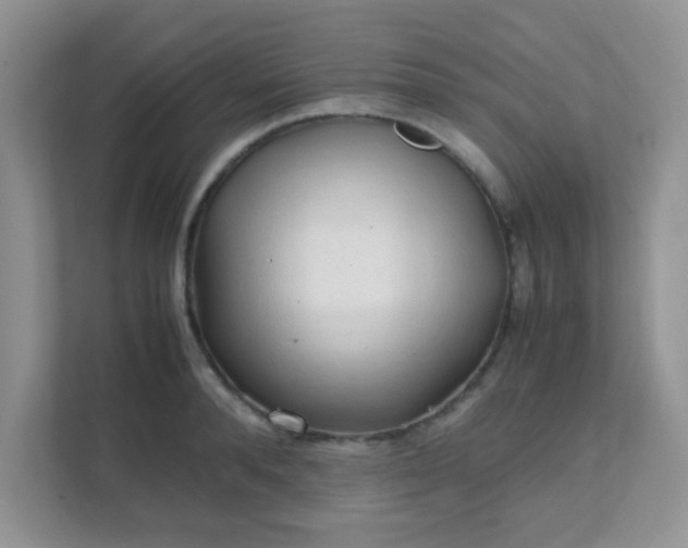 X0000111600896200907301444
