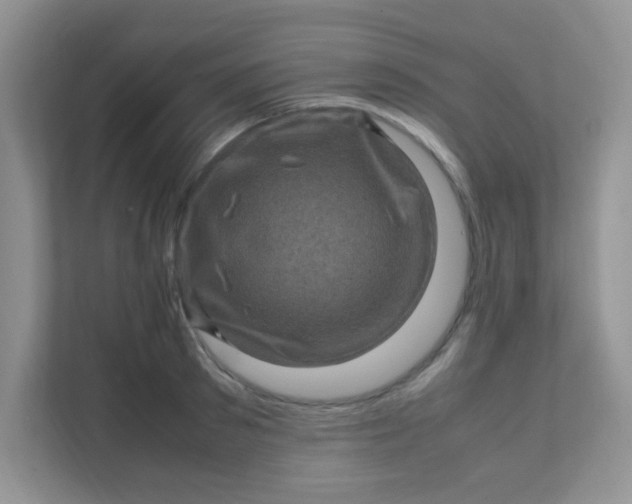 X0000111600897200907301444