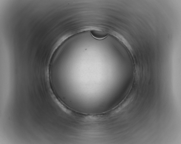 X0000111600898200907301444
