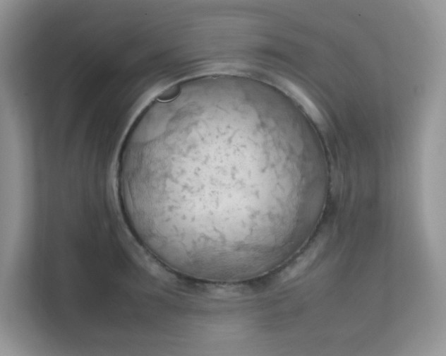 X0000111600899200907301444