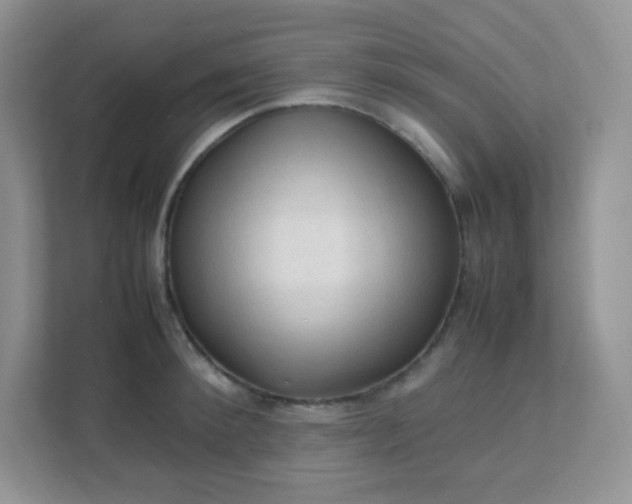 X0000111600900200907301444
