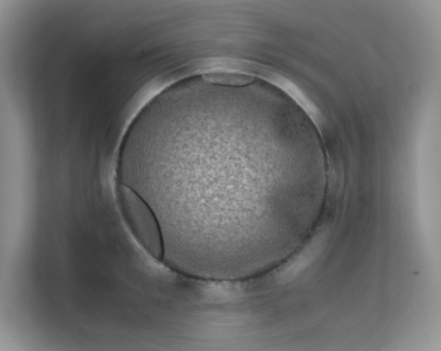 X0000111600901200907301444