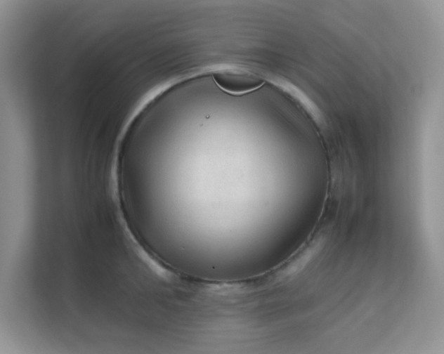 X0000111600902200907301444
