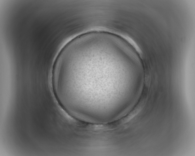 X0000111600903200907301444